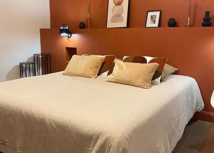 La Halte Des Arenes De De Charme Terracotta アパート ニーム